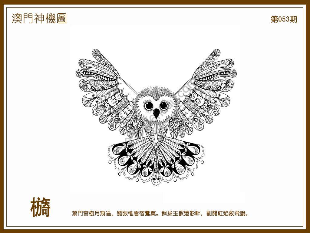 澳门神机图