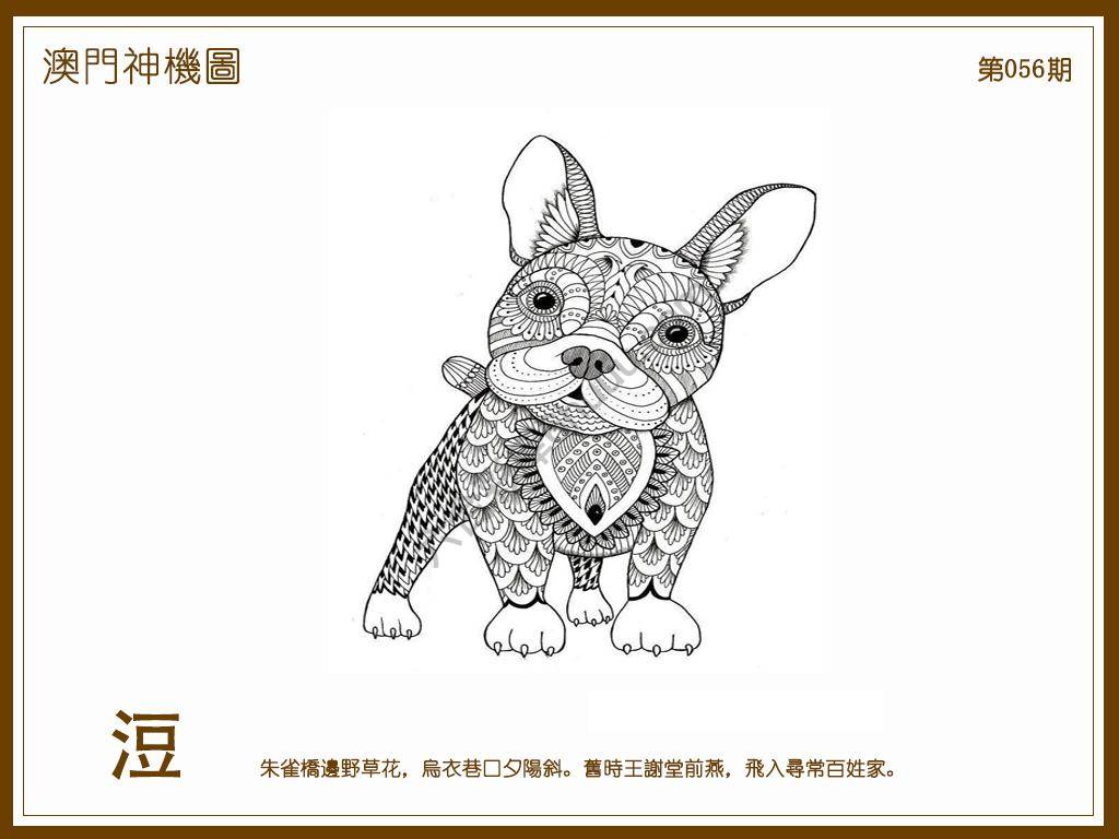 澳门神机图