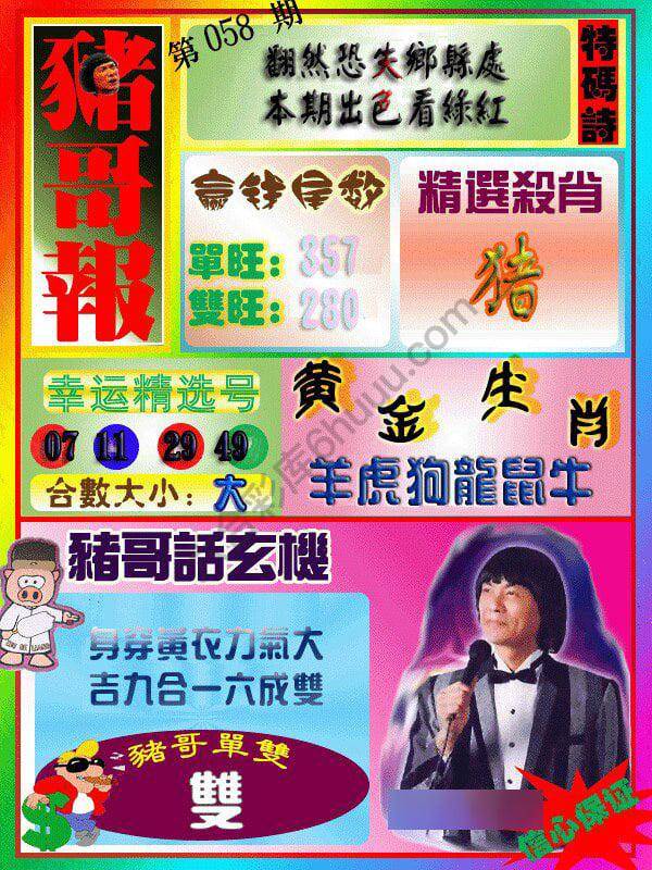 猪哥报