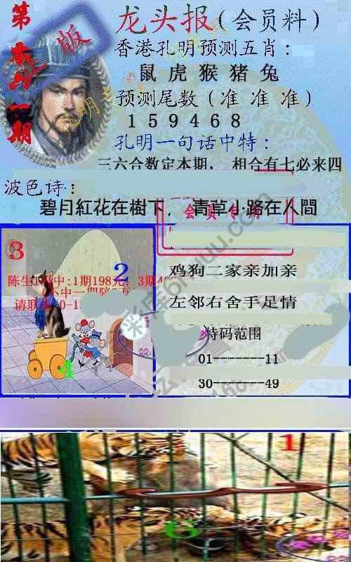 龙头报