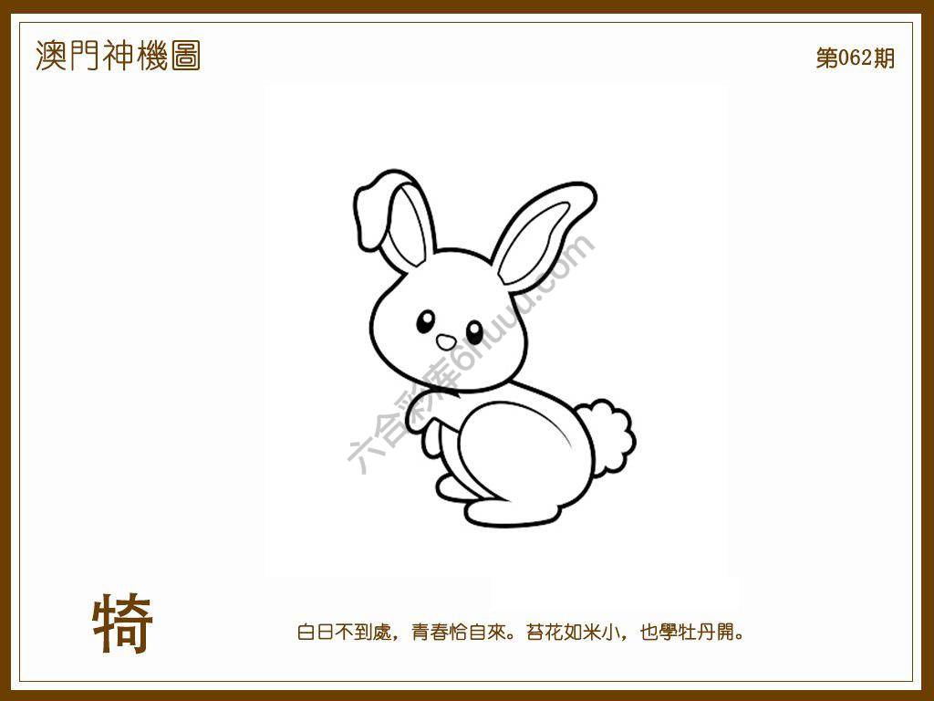 澳门神机图