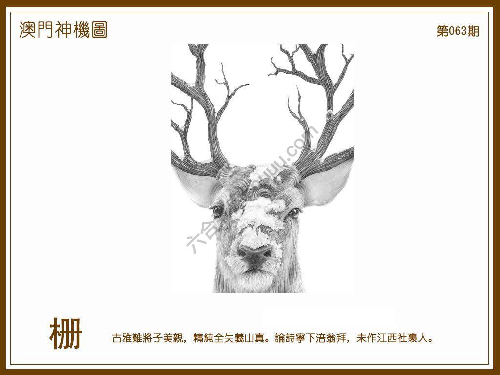 澳门神机图