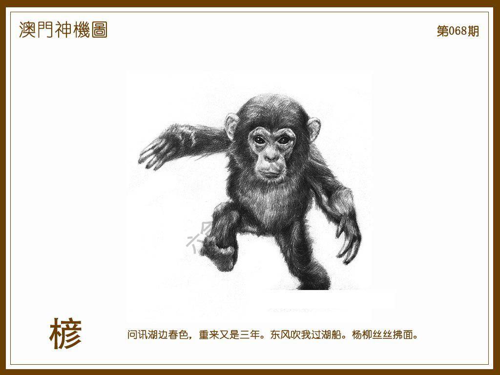 澳门神机图