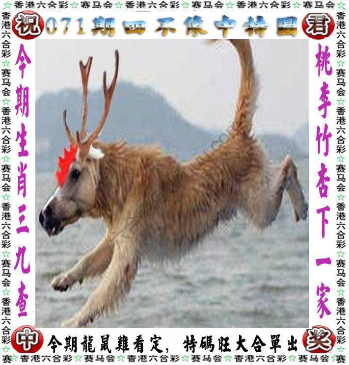 四不像中特图