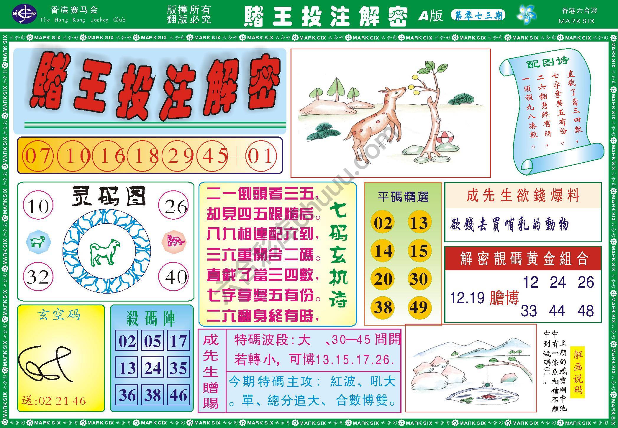 赌王投注解密