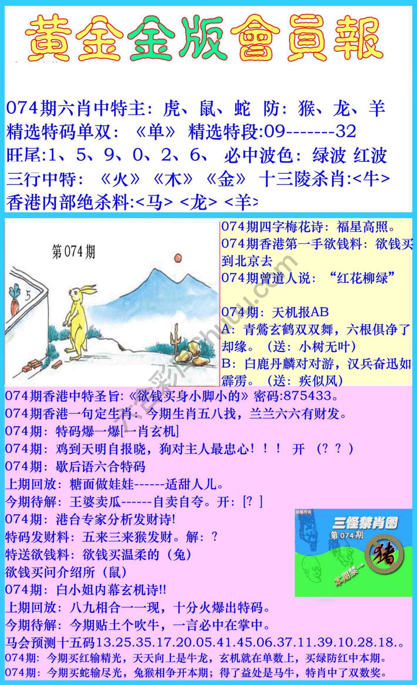 黄金金版会员报