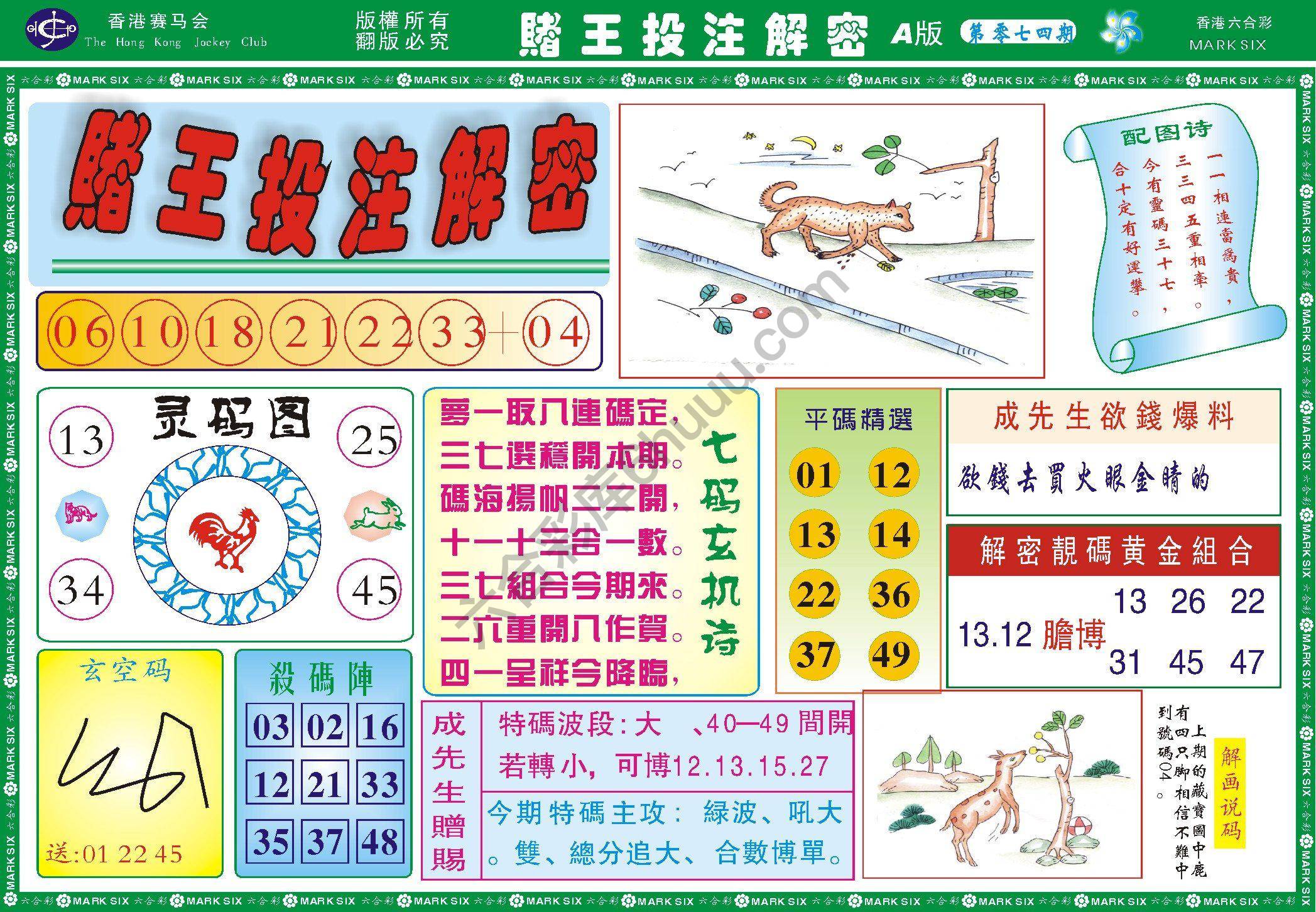 赌王投注解密