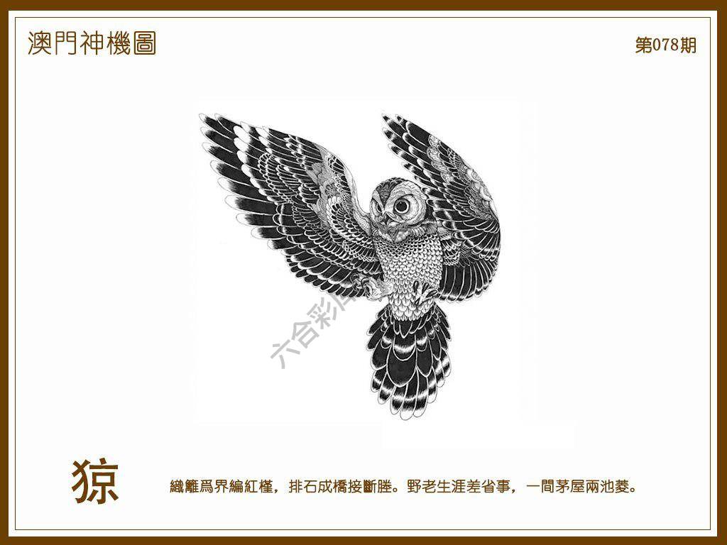 澳门神机图