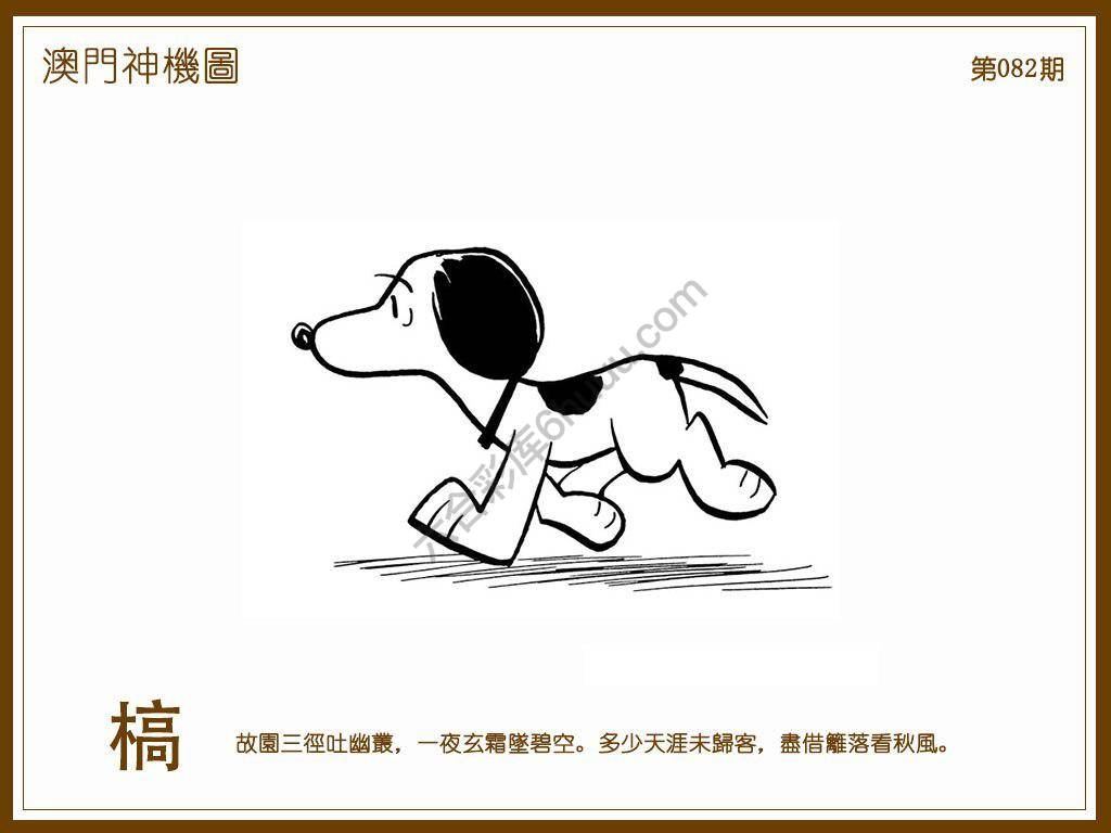 澳门神机图