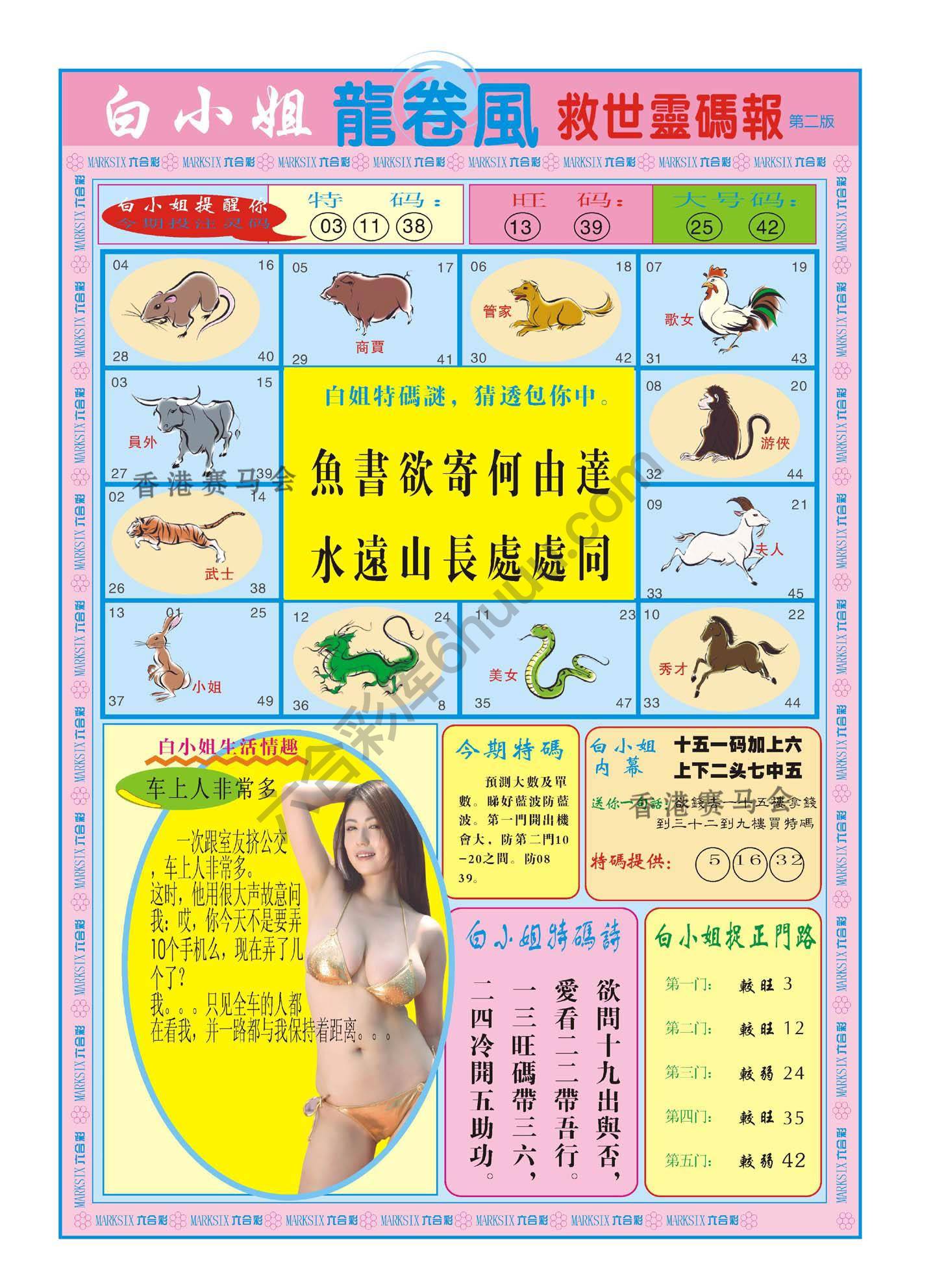 白小姐龙卷风