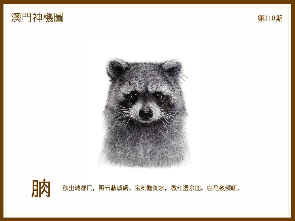 澳门神机图