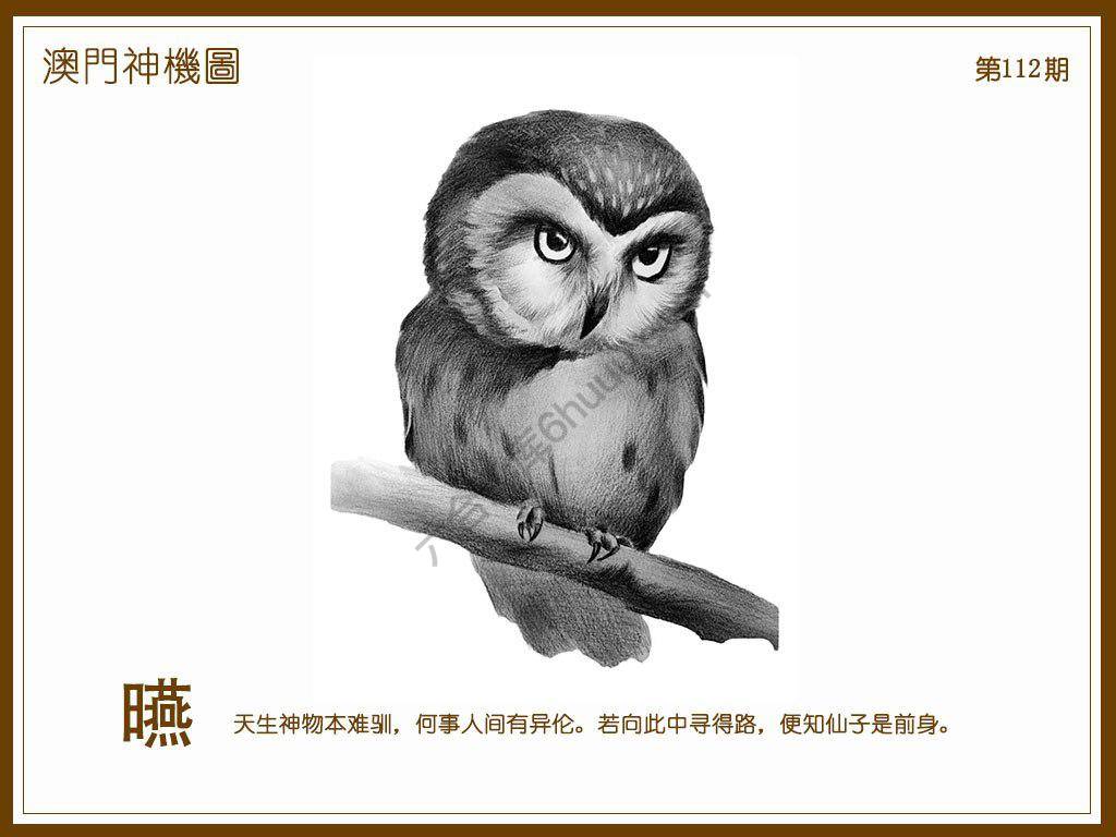 澳门神机图