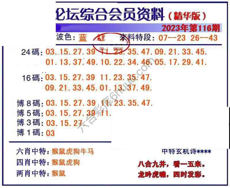 综合会员资料