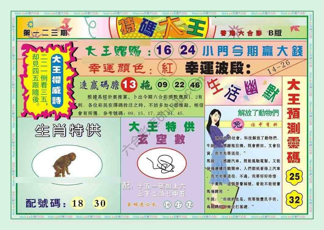 特码大王