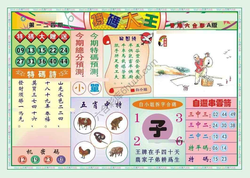 特码大王