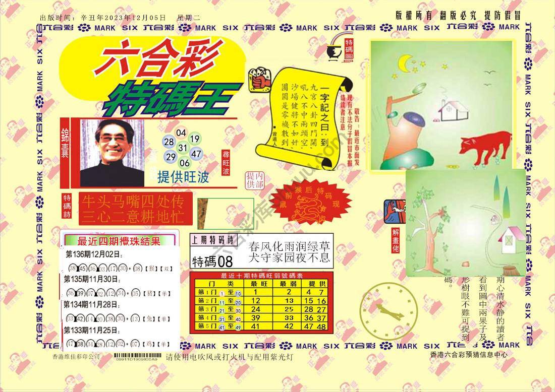 特码王