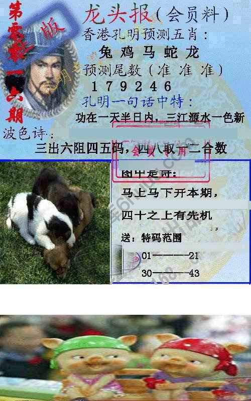 龙头报