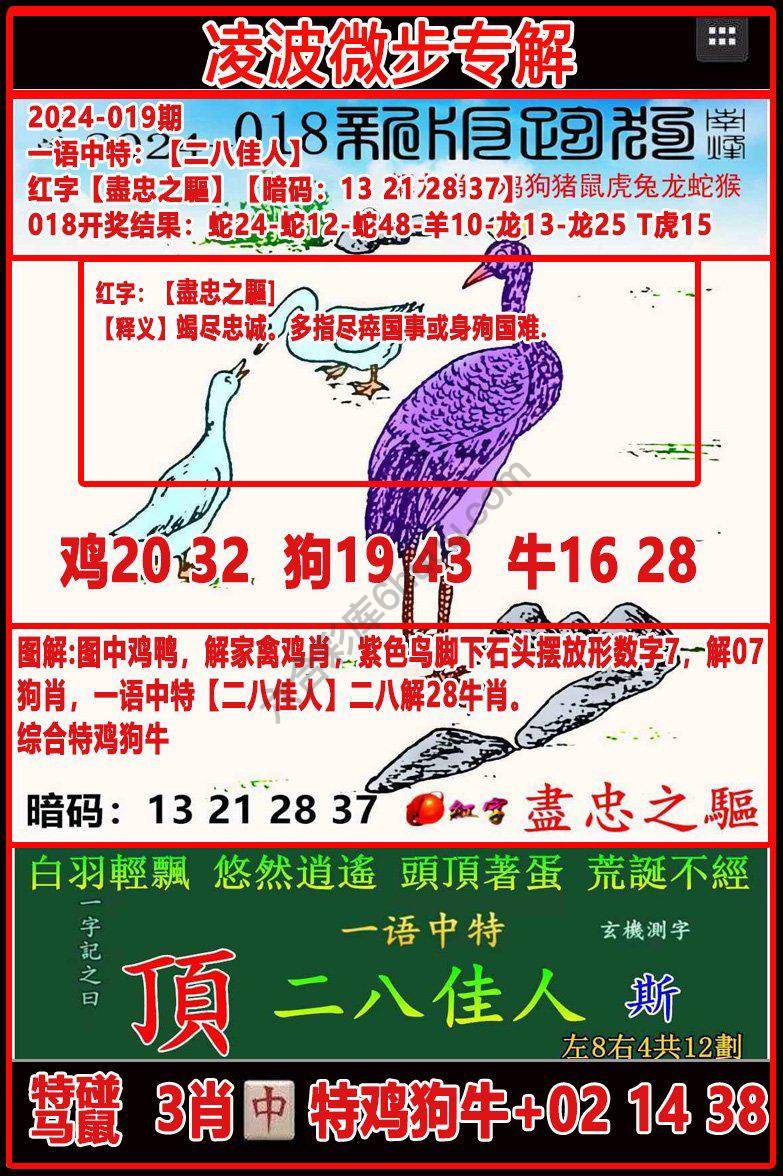 凌波微步解跑狗