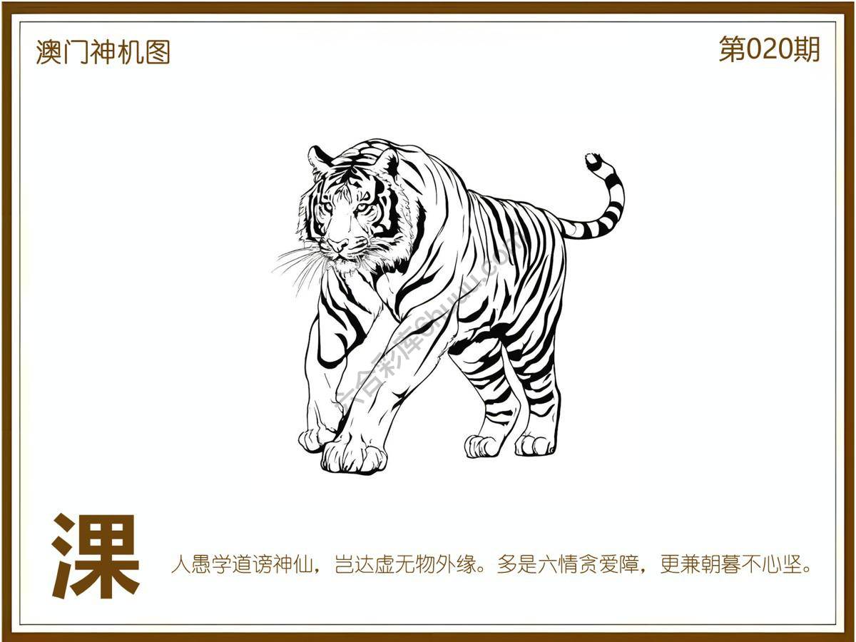 澳门神机图