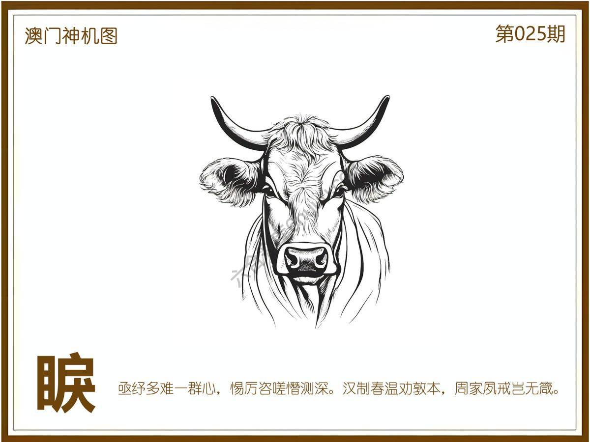 澳门神机图