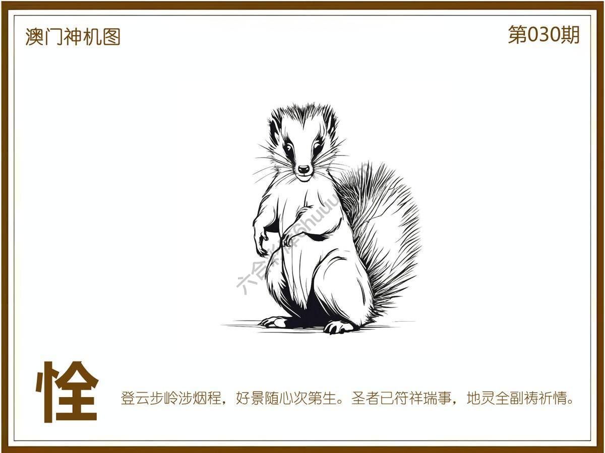 澳门神机图