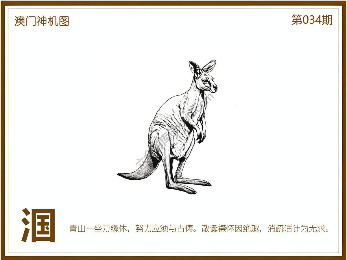 澳门神机图