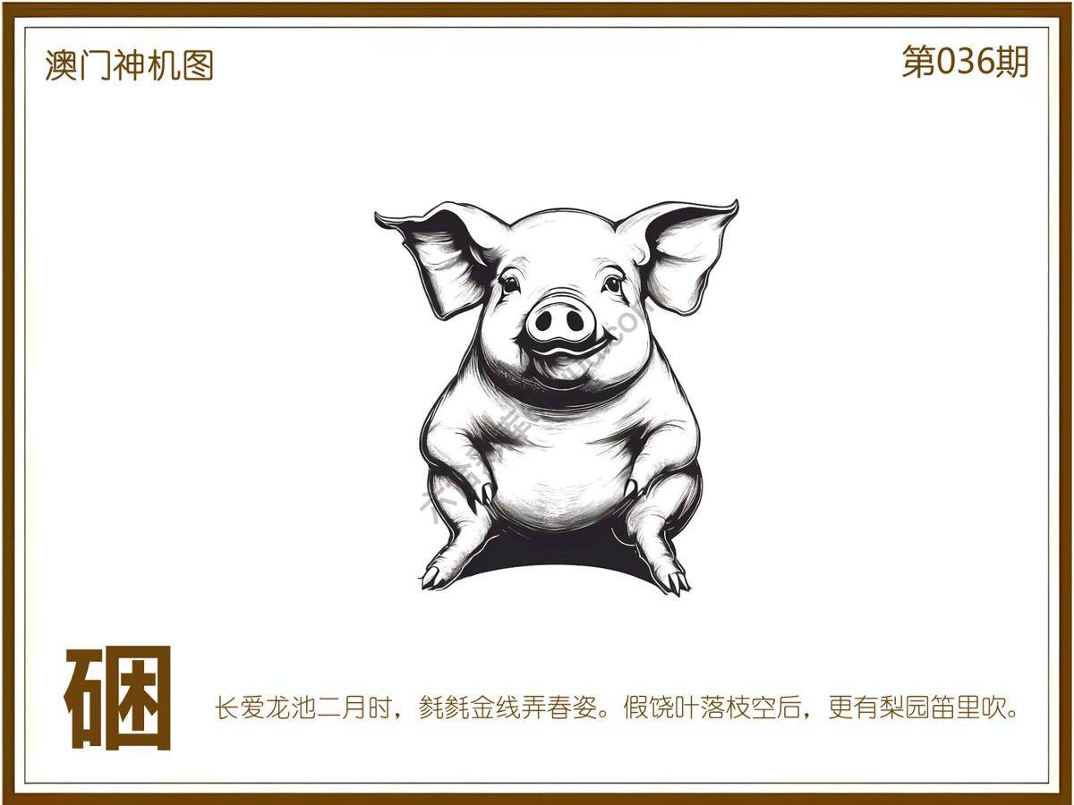 澳门神机图