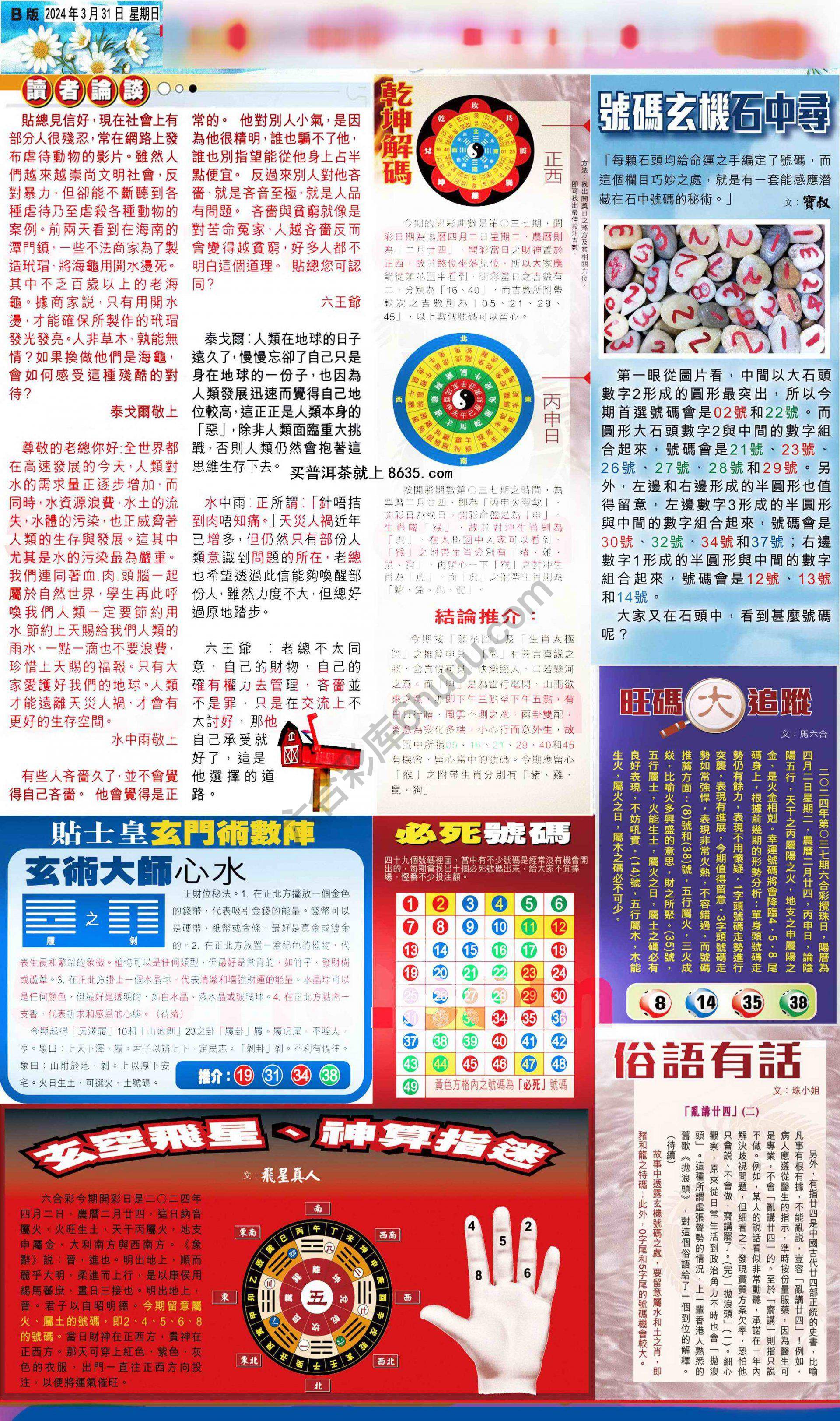 大版贴士皇