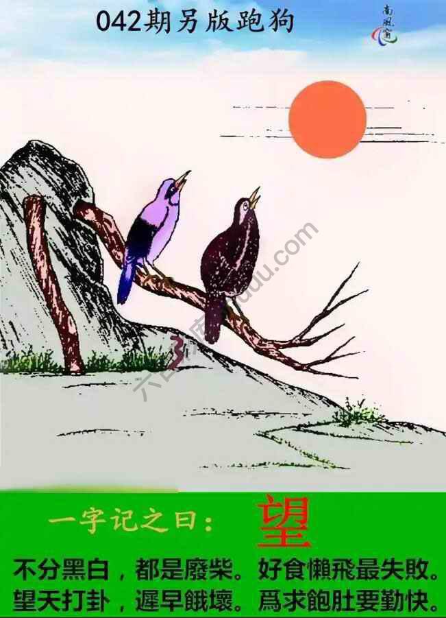 另版跑狗