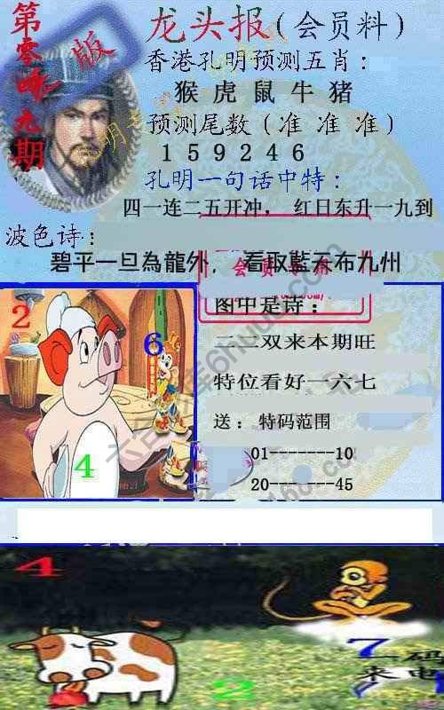 龙头报