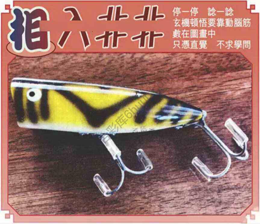相入非非