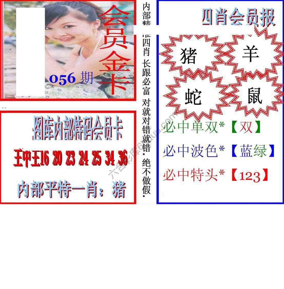 马经四肖会员报