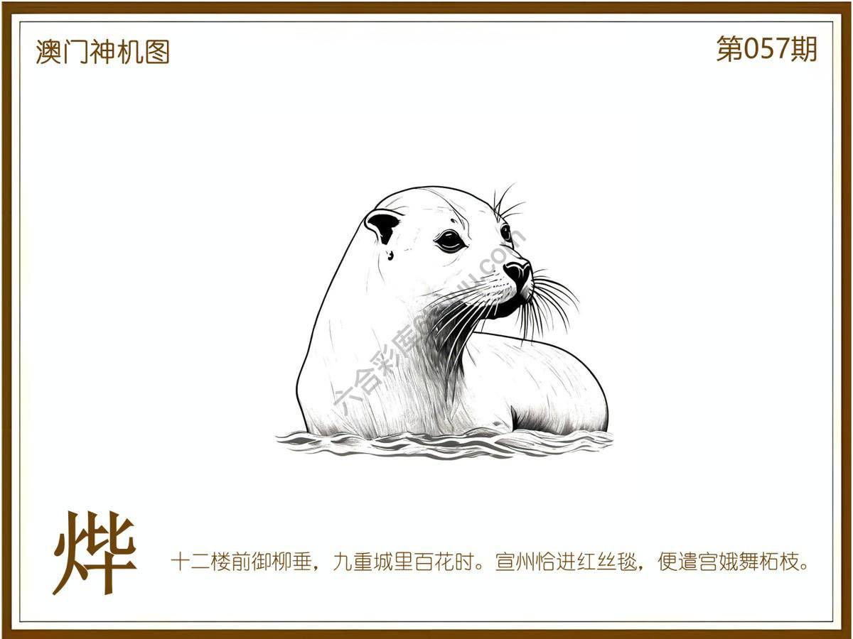 澳门神机图