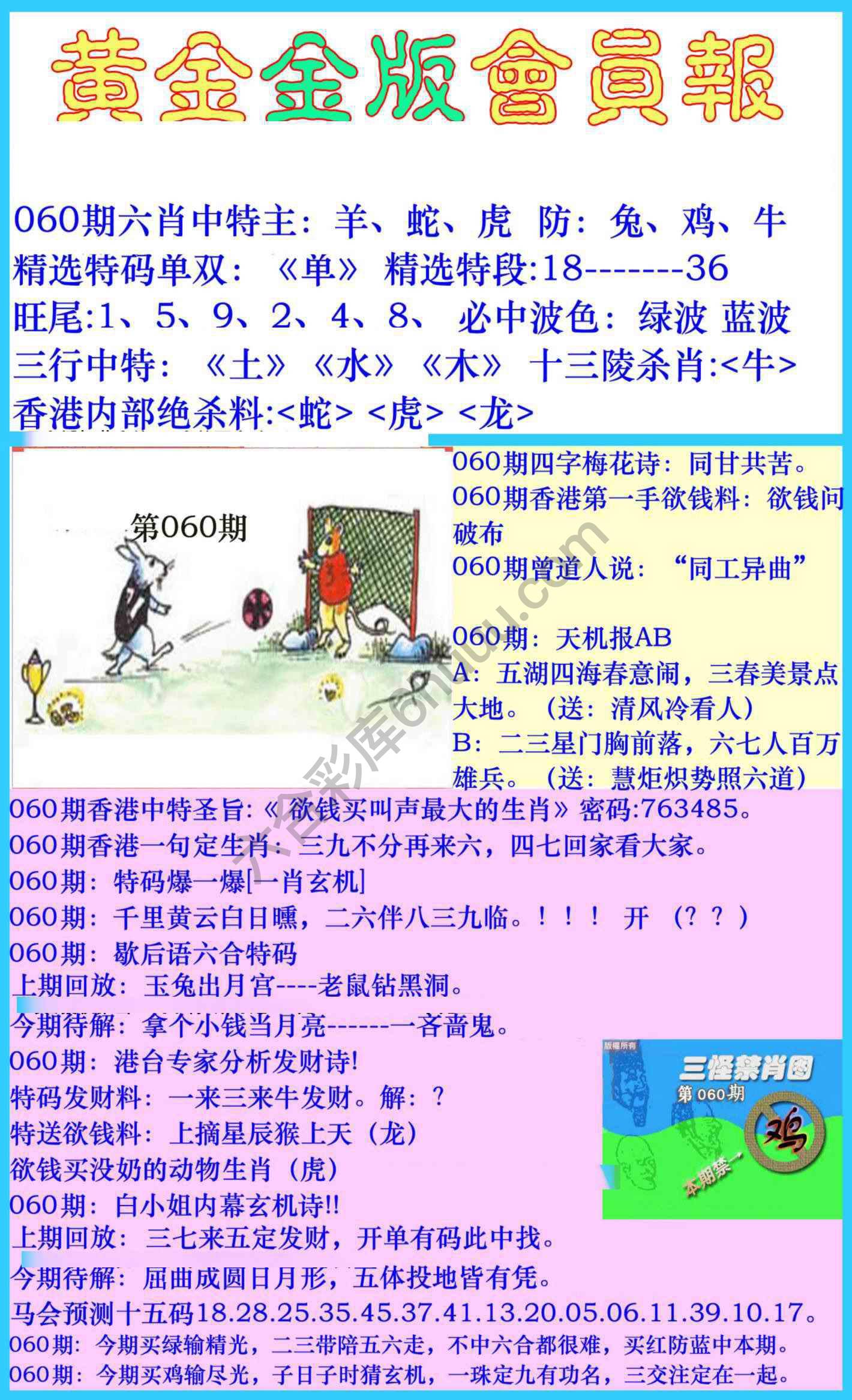 黄金金版会员报
