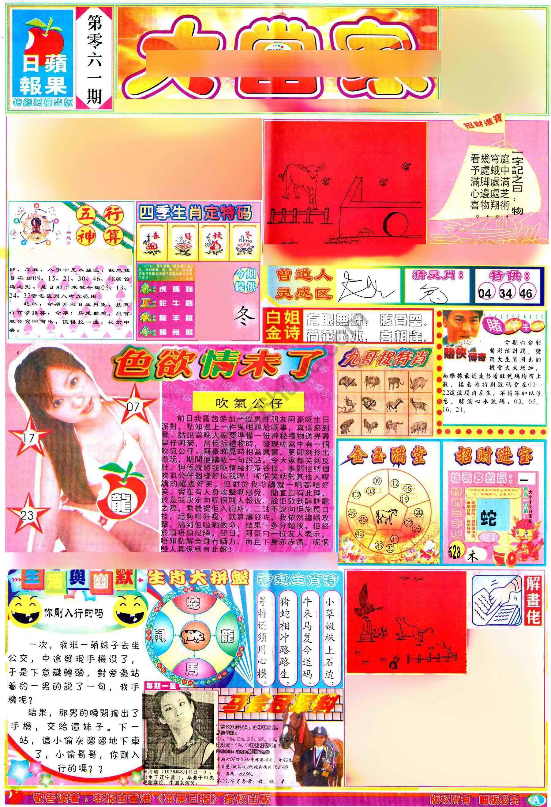 大当家