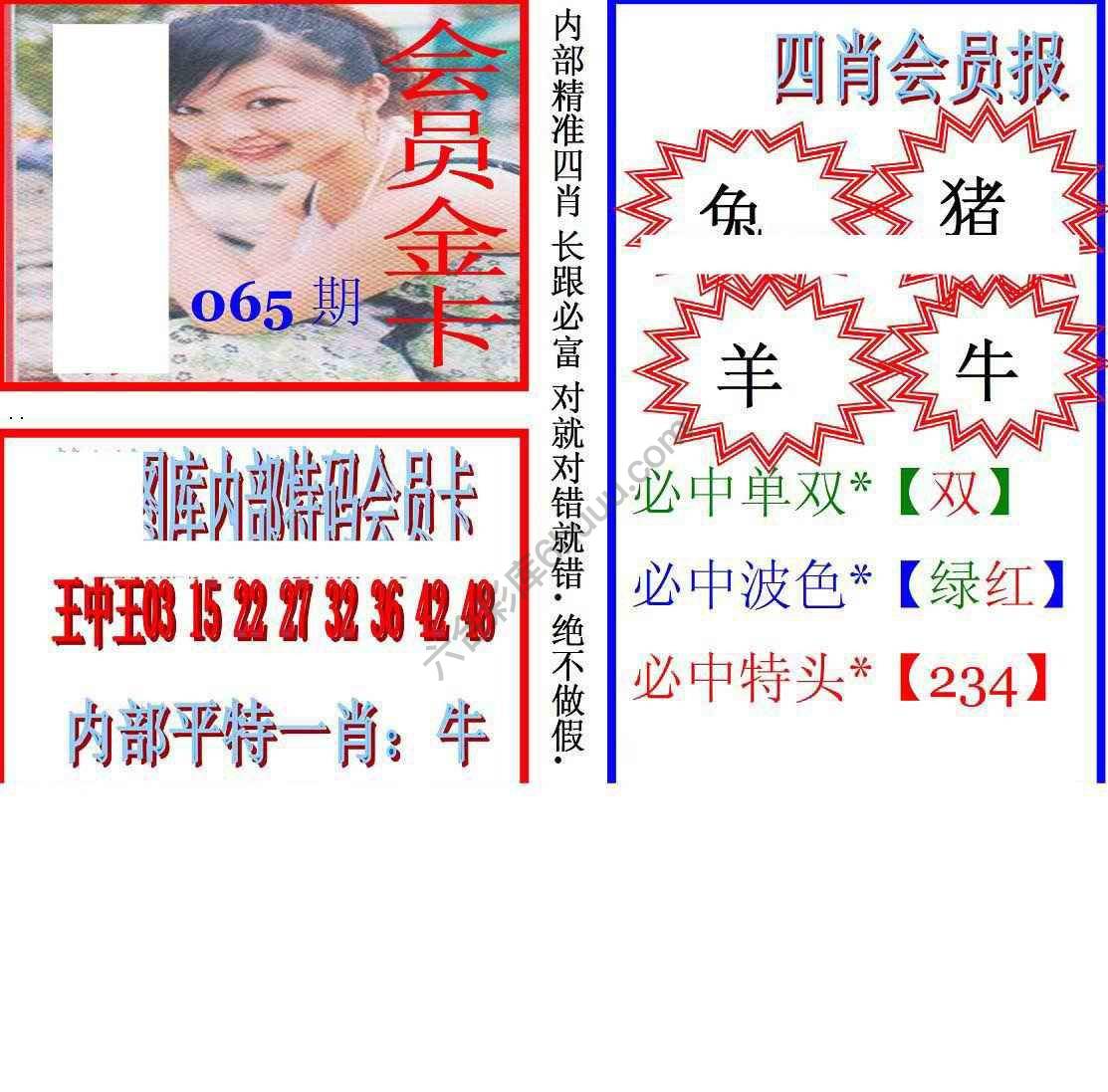 马经四肖会员报