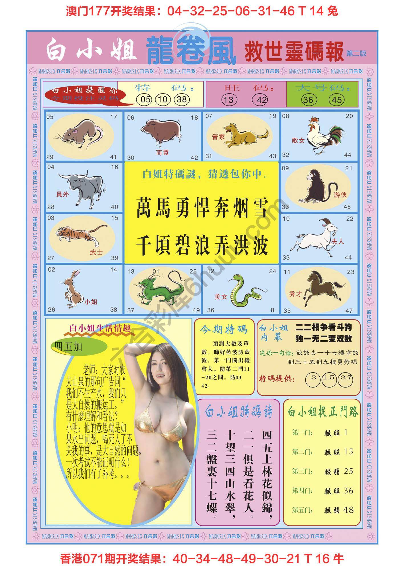 白小姐救世灵码报