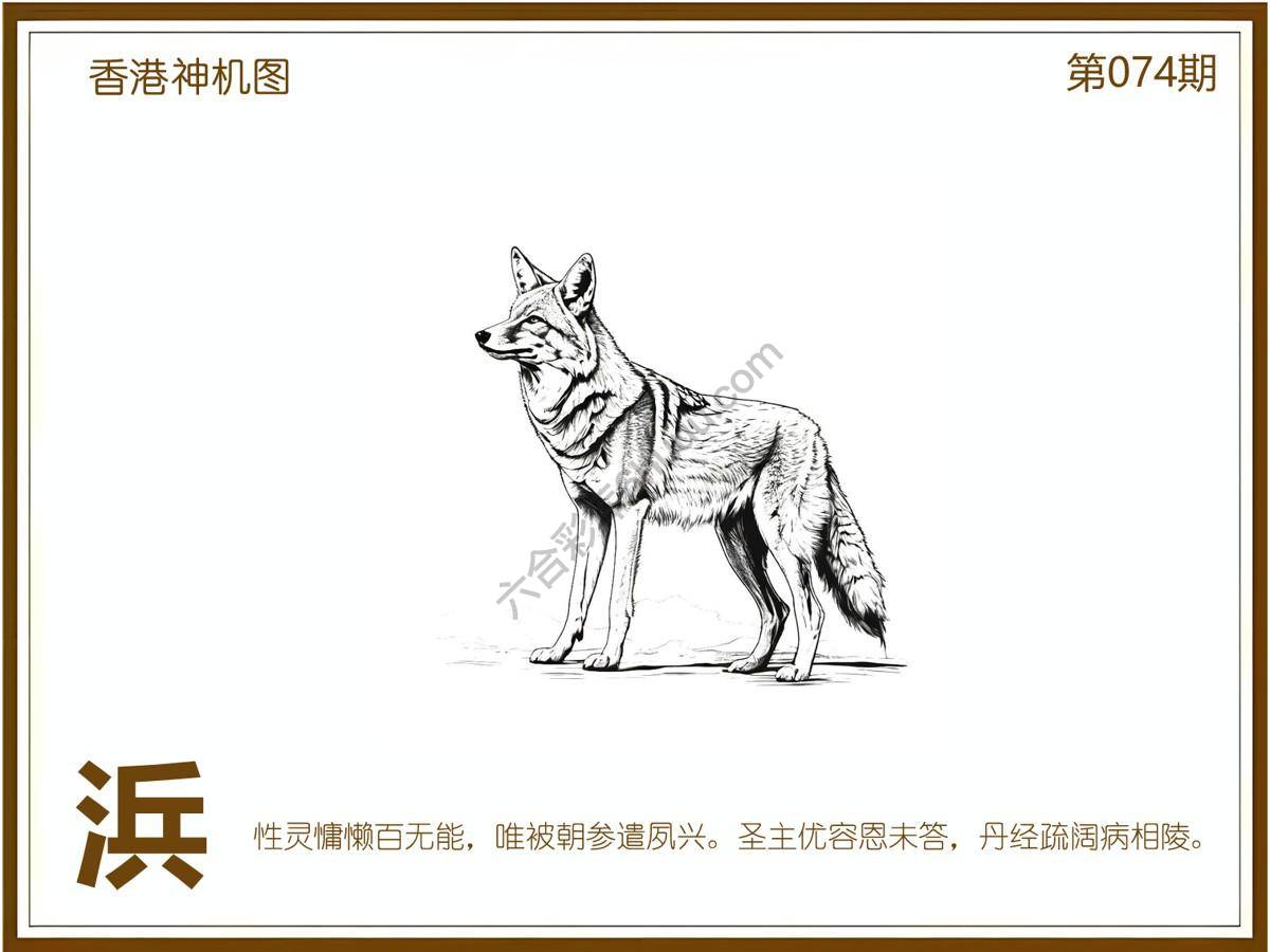 澳门神机图