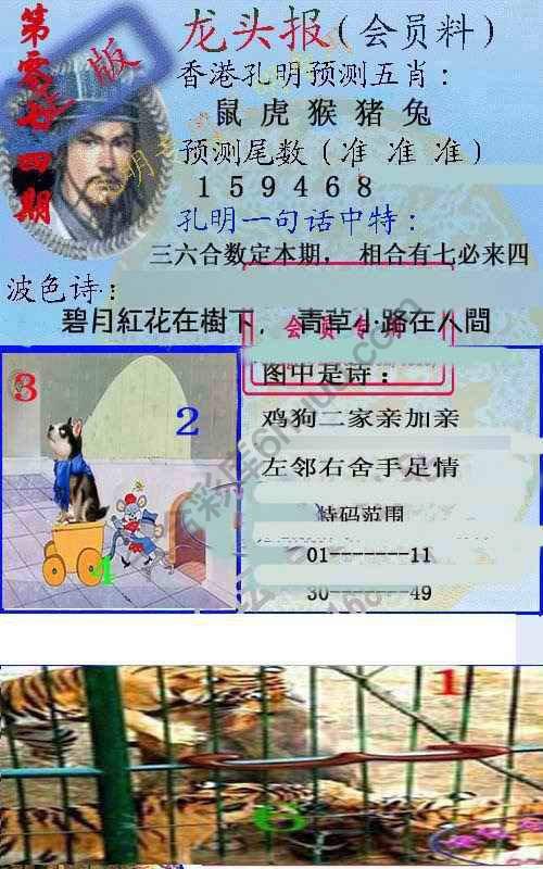 龙头报
