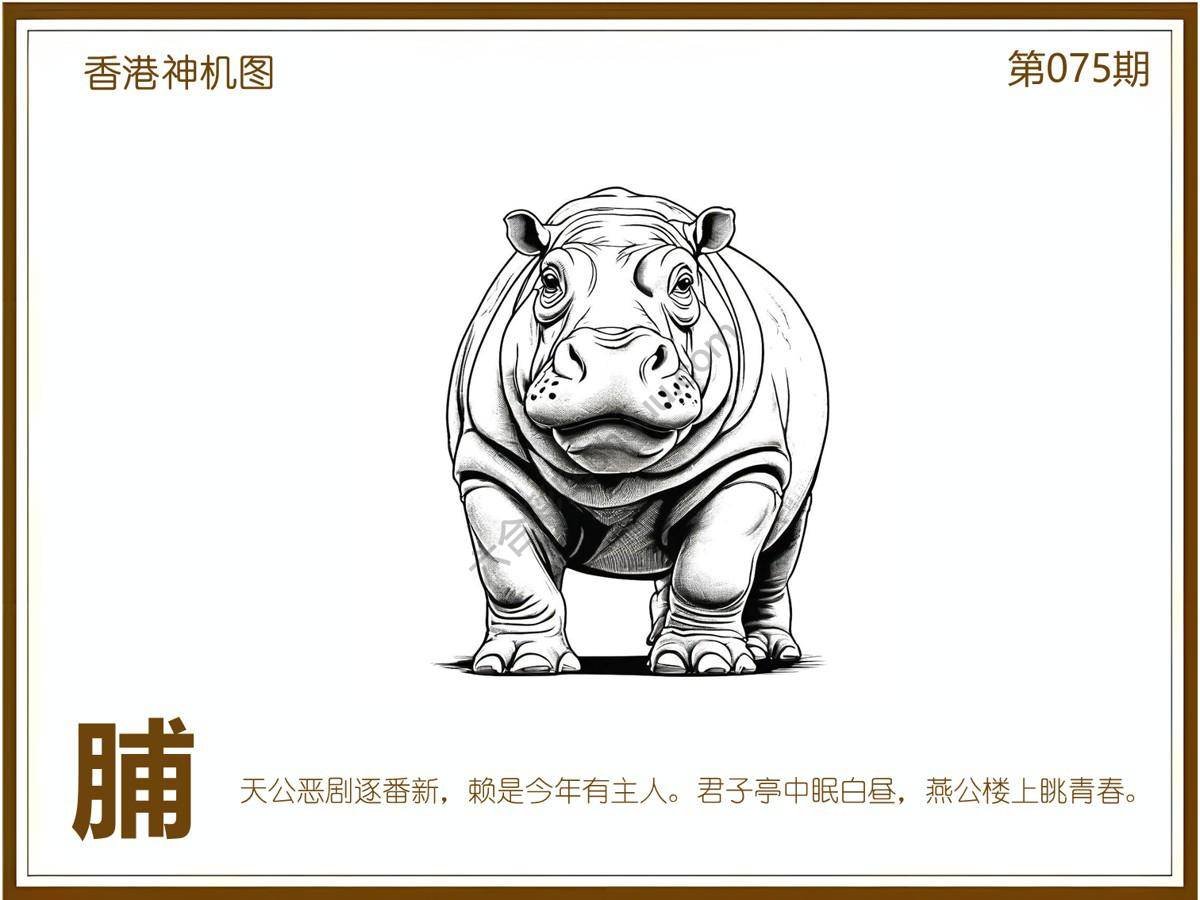 澳门神机图