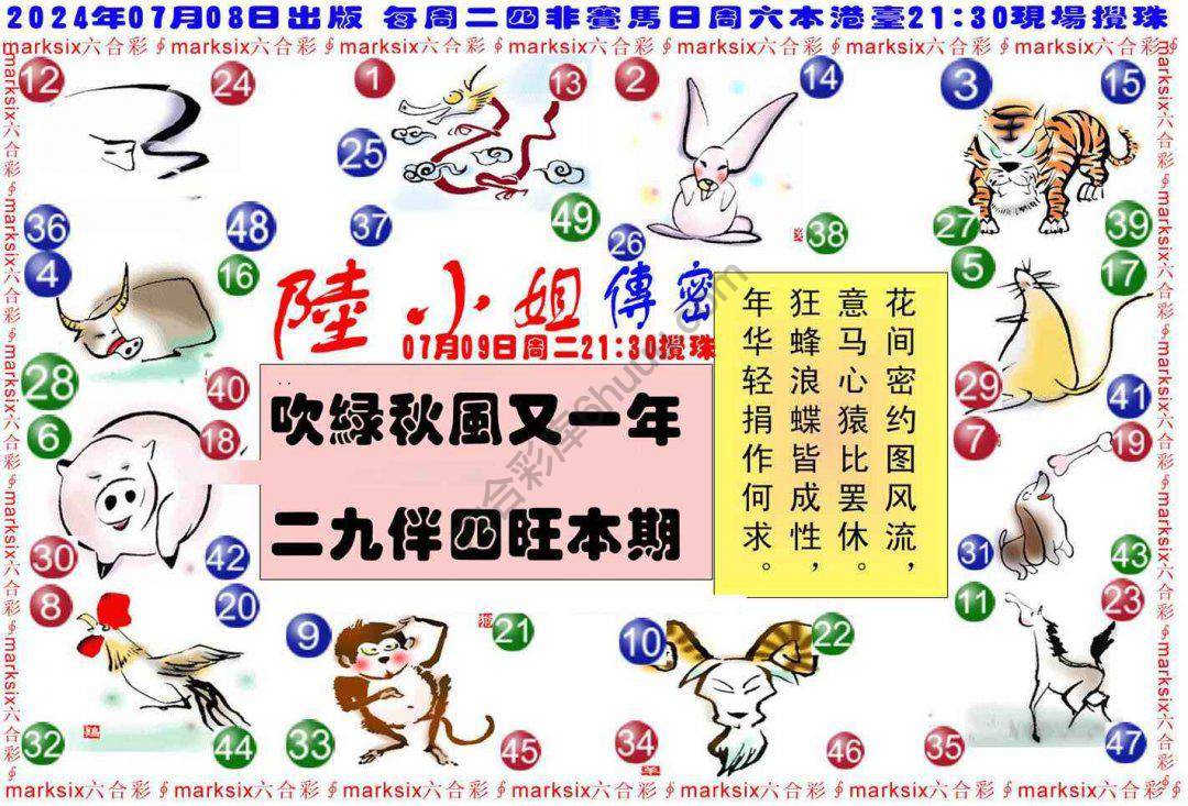 陆小姐传密