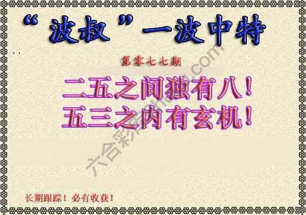 波叔一波中特