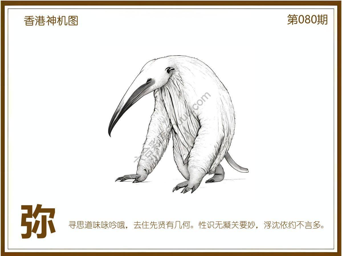 澳门神机图