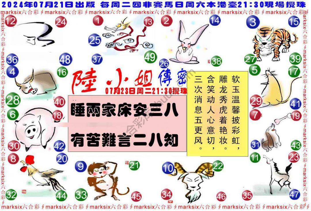 陆小姐传密