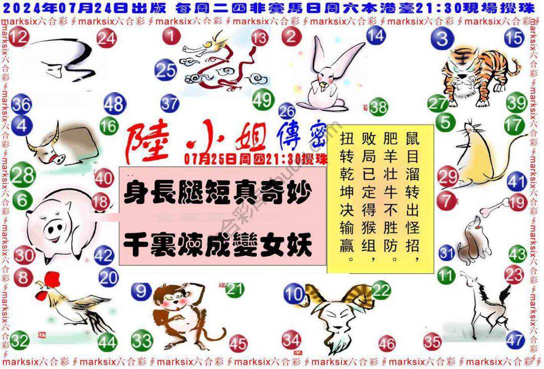 陆小姐传密