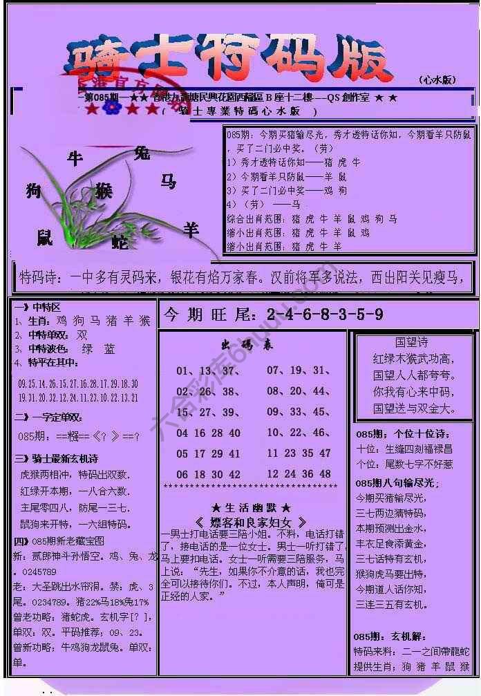 另类骑士特码版