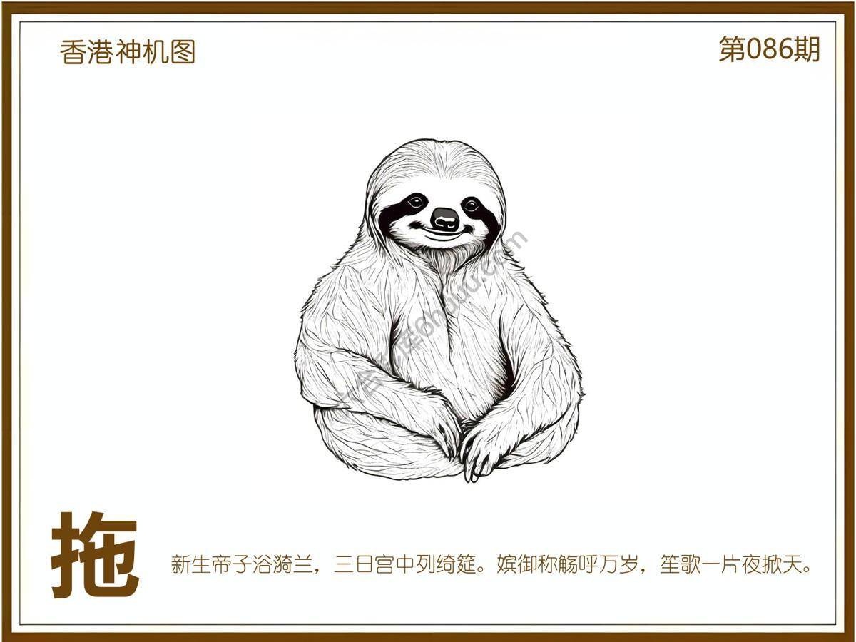 澳门神机图