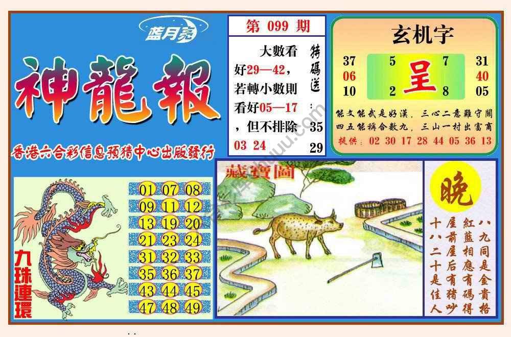 蓝月亮神龙报