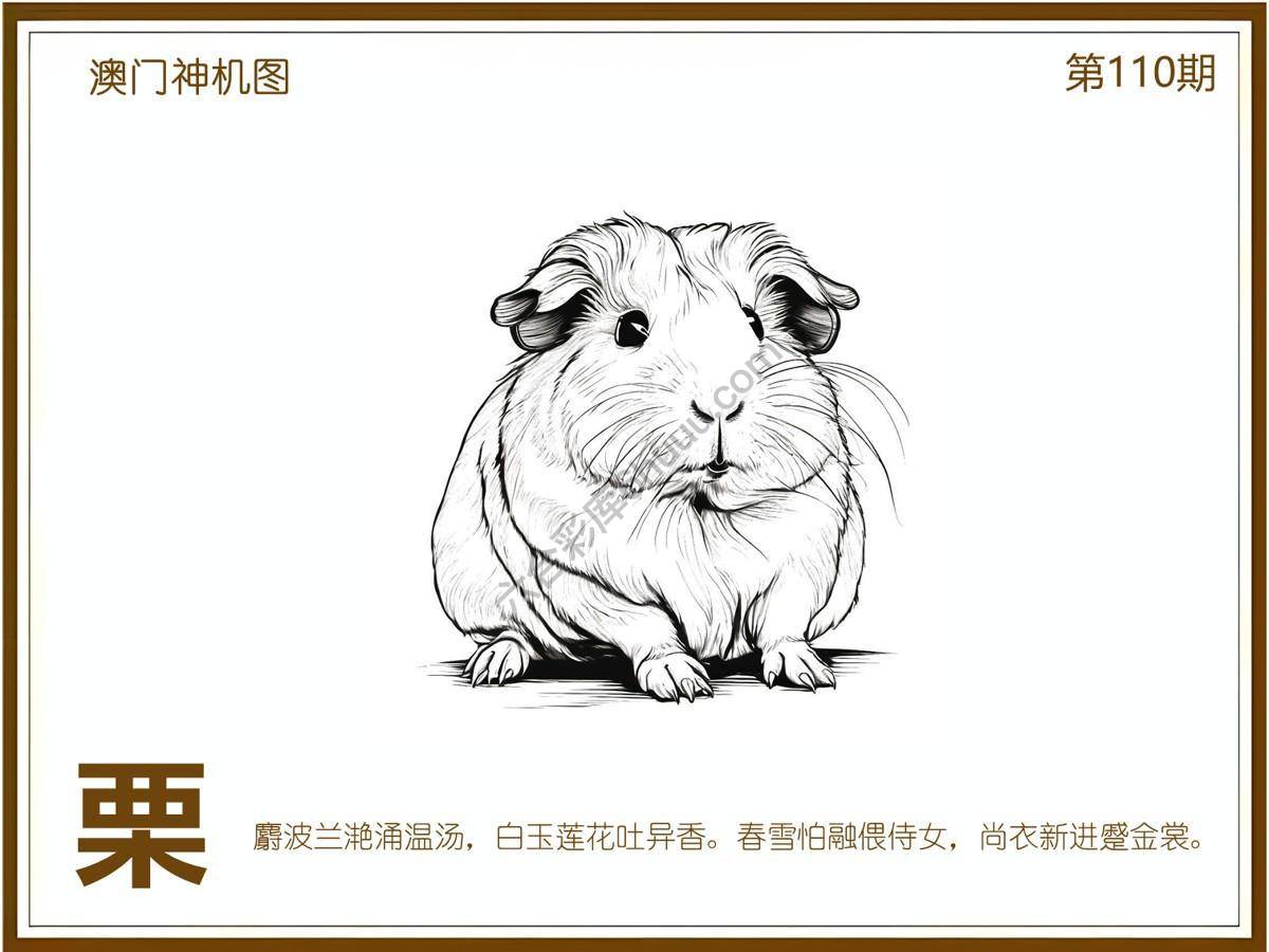 澳门神机图