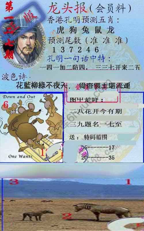 龙头报